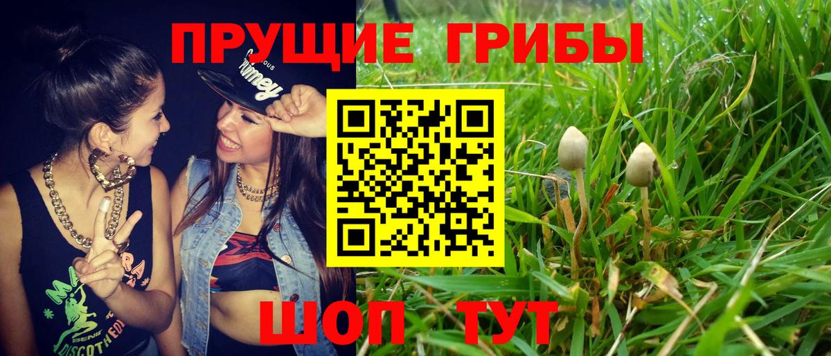 Псилоцибиновые грибы прущие грибы Можга