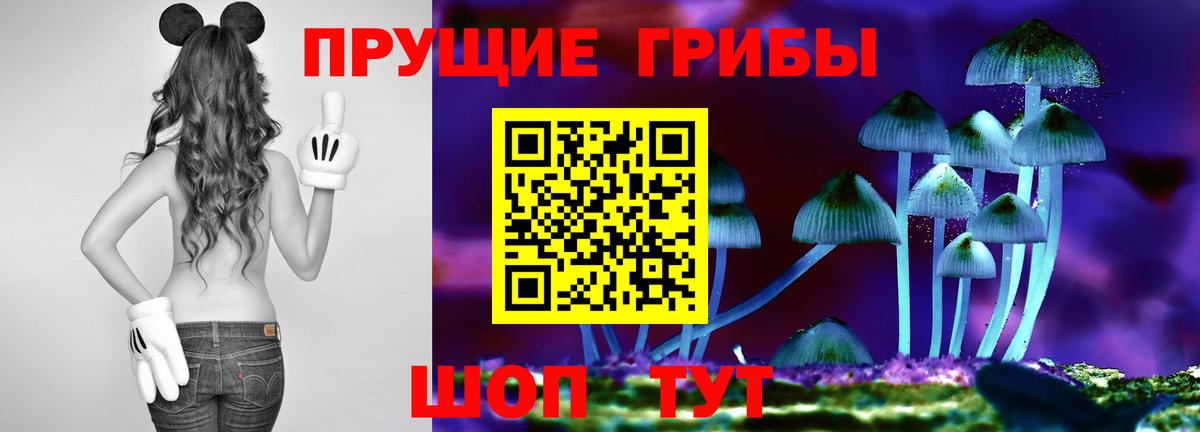 Галлюциногенные грибы прущие грибы  Галлюциногенные грибы прущие грибы  Вход с VPN  Можга 
